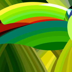red-billed toucan