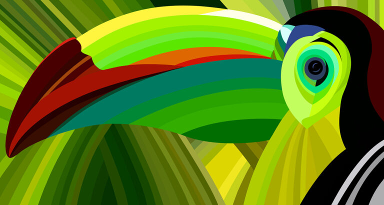 red-billed toucan